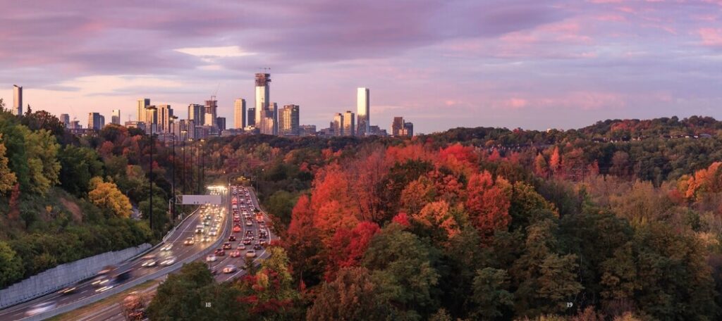 Bayview Village Neighbourhood Attraction