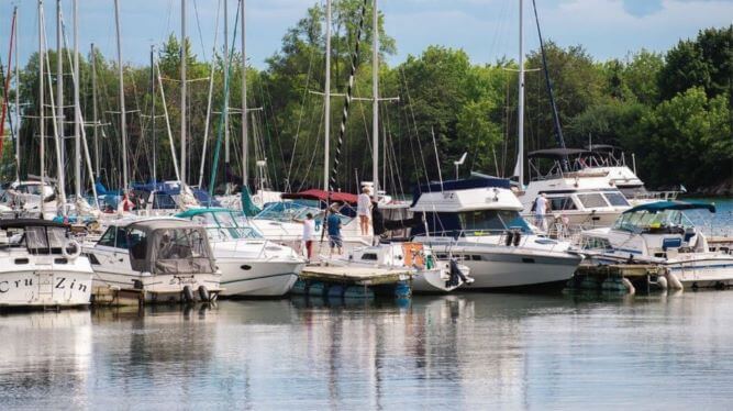 The Beaches Community